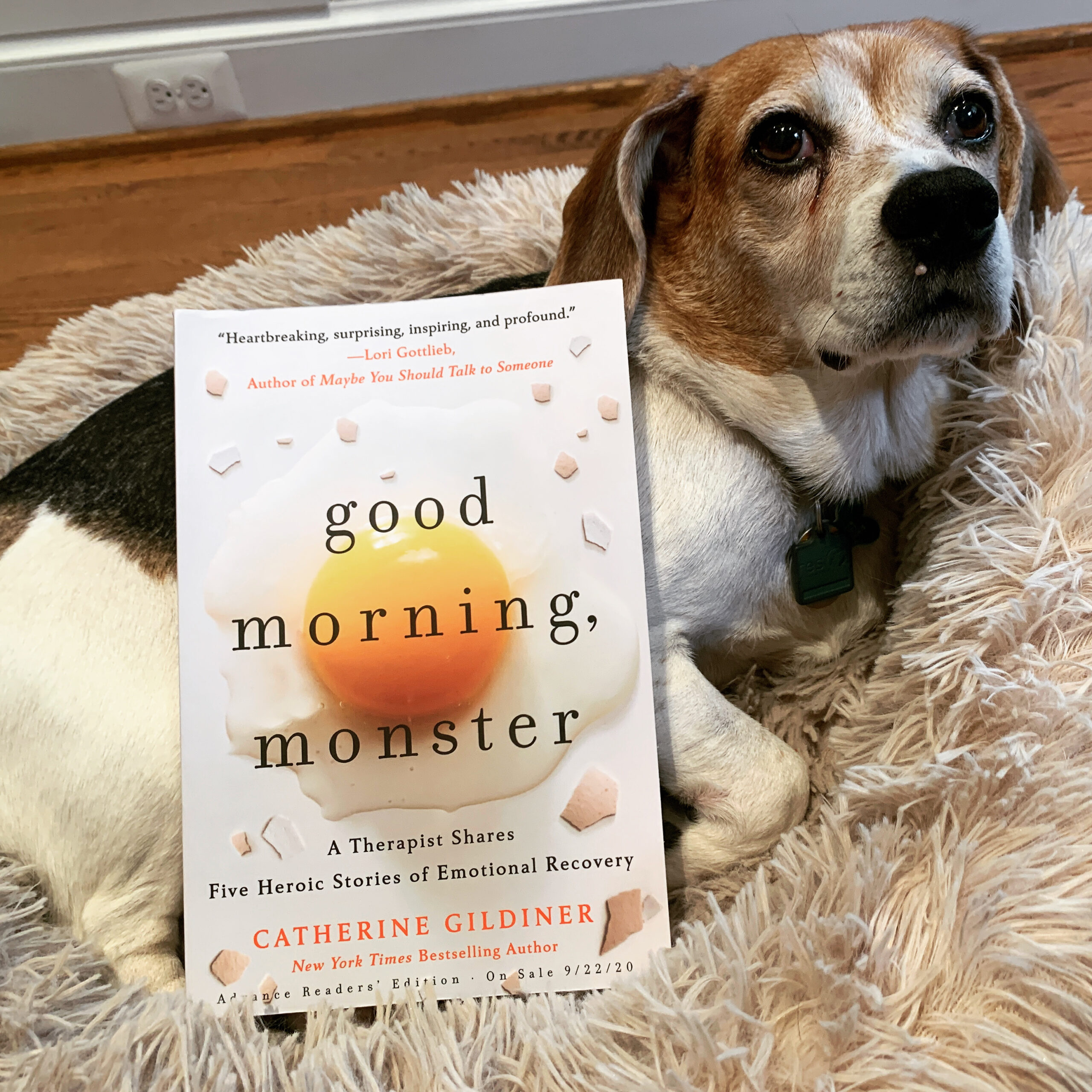 Good Morning Monster By Catherine Gildiner Everyday I Write The Book