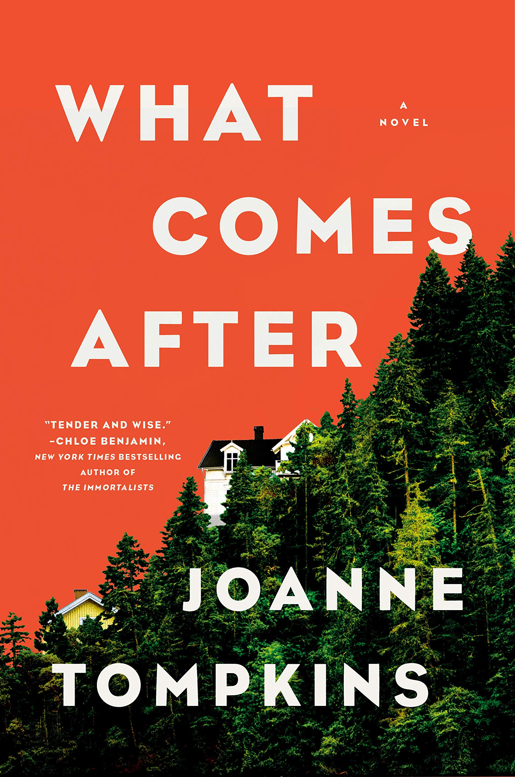 what-comes-after-by-joanne-tompkins-everyday-i-write-the-book